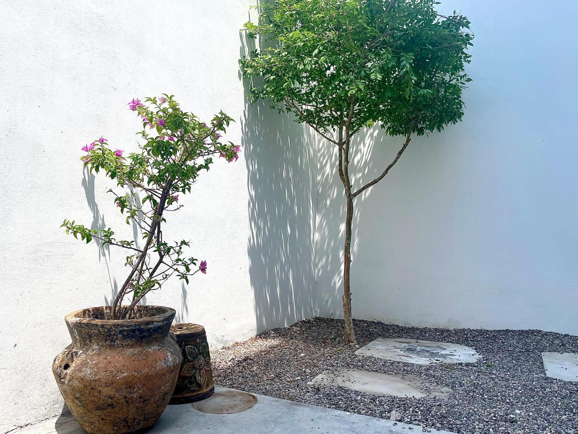 Departamentos Dos21 Βίλα Mazatlán Εξωτερικό φωτογραφία