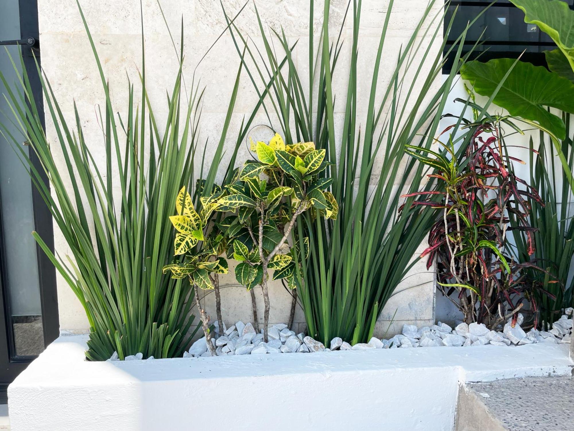 Departamentos Dos21 Βίλα Mazatlán Εξωτερικό φωτογραφία